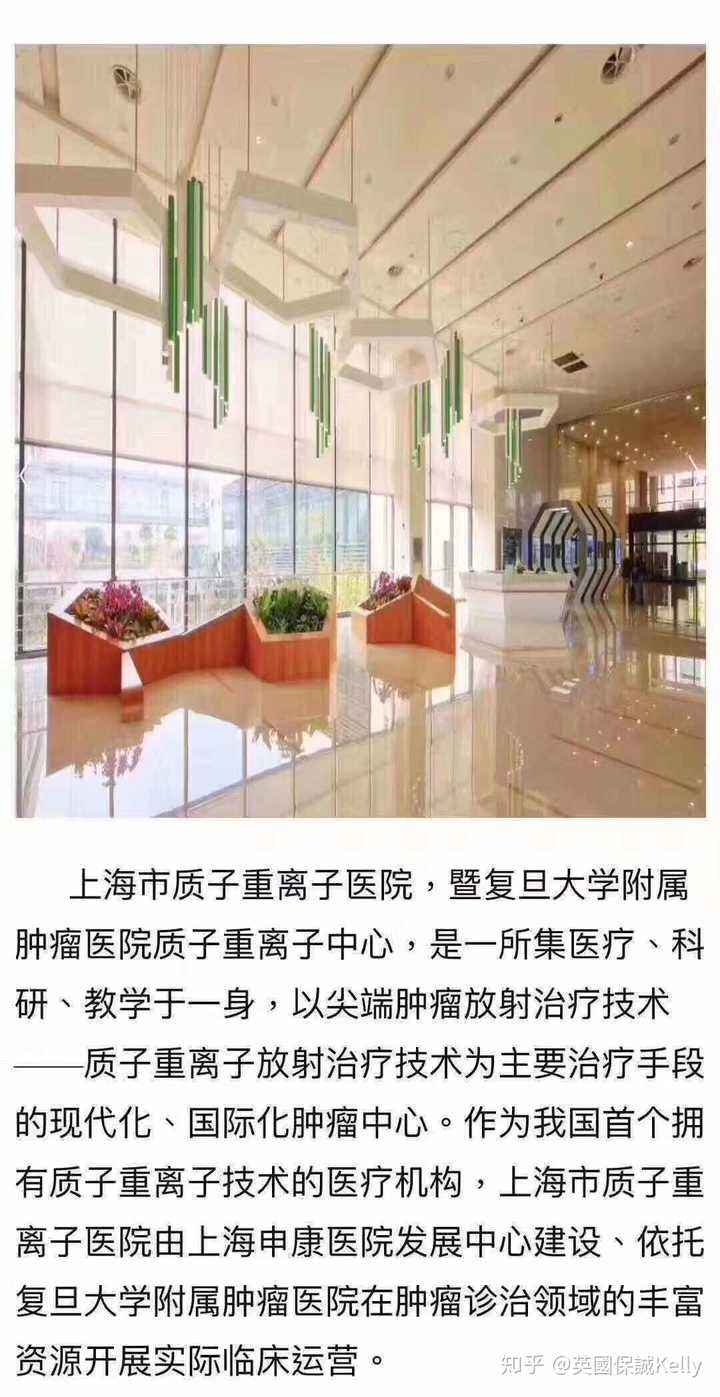 上海质子重离子医院(上海质子重离子医院是公立的还是私立的)