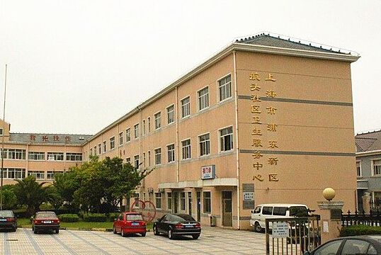 上海南汇中心医院(上海南汇中心医院是三甲医院吗)
