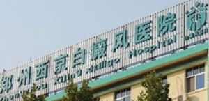 北京治疗白癜风最好的医院的简单介绍