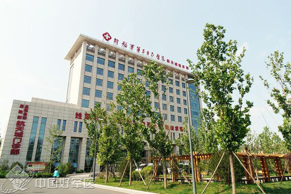 北京306医院(北京306医院在哪个区)