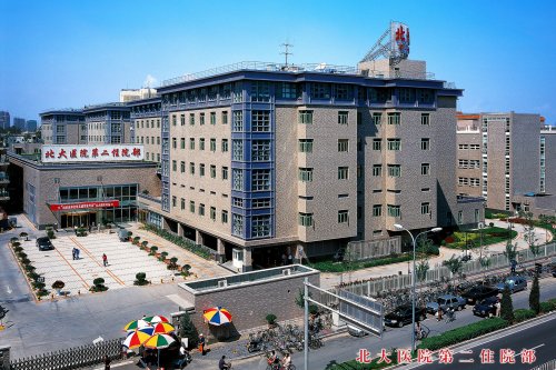 包含北京大学第一医院黄牛挂号服务的词条