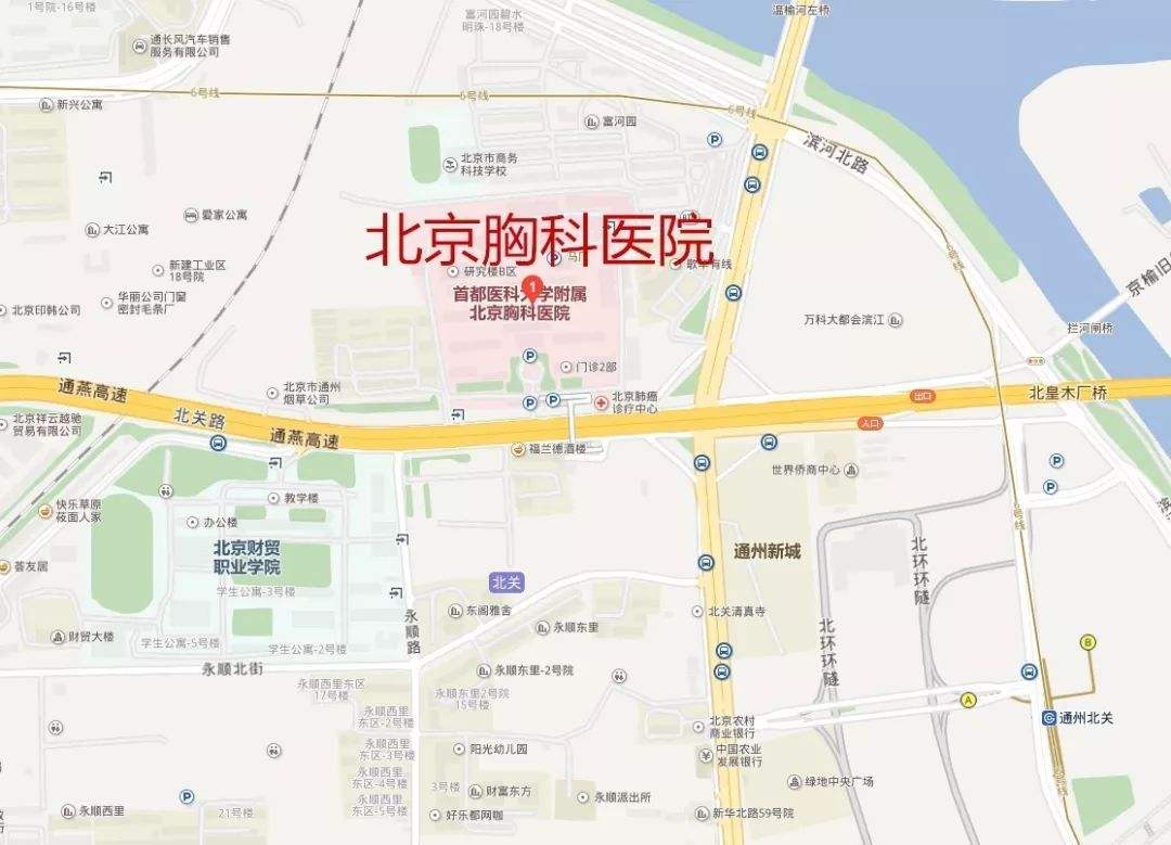 北京胸科医院-(北京胸科医院地址)
