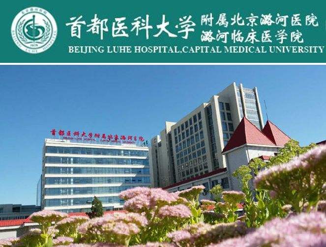 包含首都医科大学附属北京中医医院（方式+时间+预约入口）！的词条