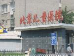包含首都医科大学附属北京口腔医院代挂专家号怎么买的词条