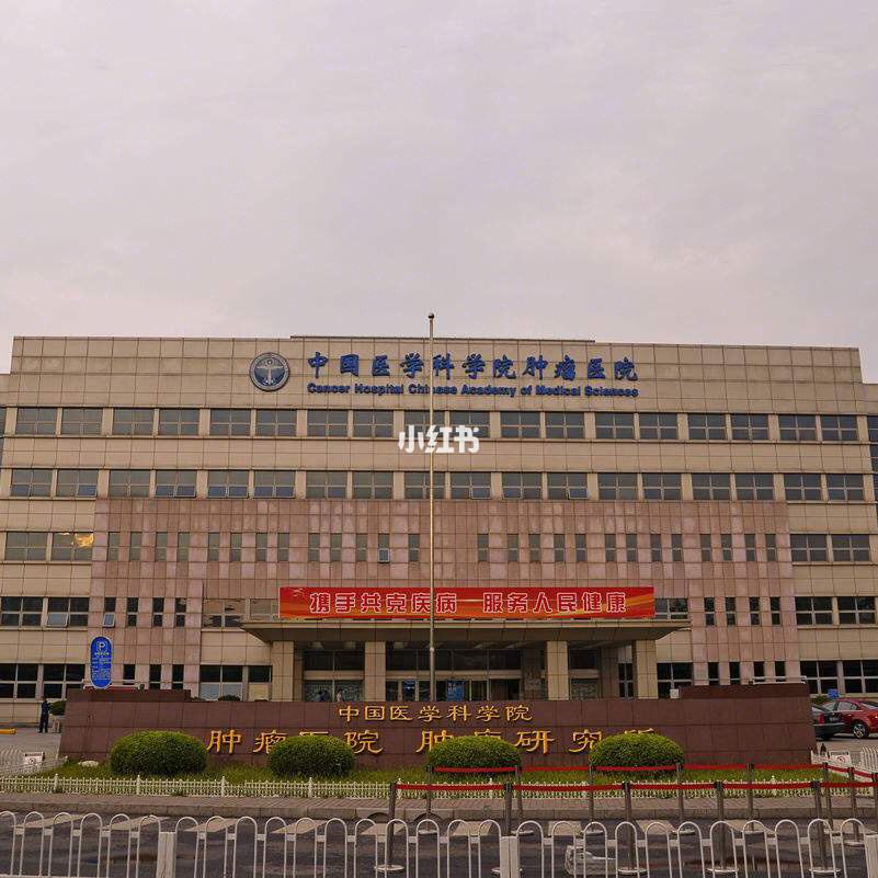 关于中国医学科学院肿瘤医院挂号跑腿，多年专业服务经验的信息