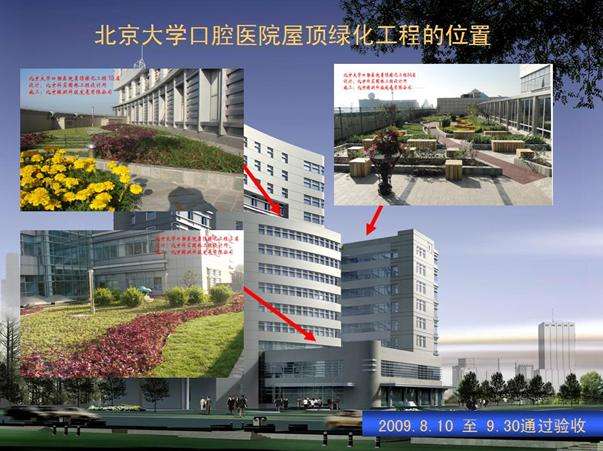 关于北京大学口腔医院代帮挂号跑腿，专业人办专业事的信息