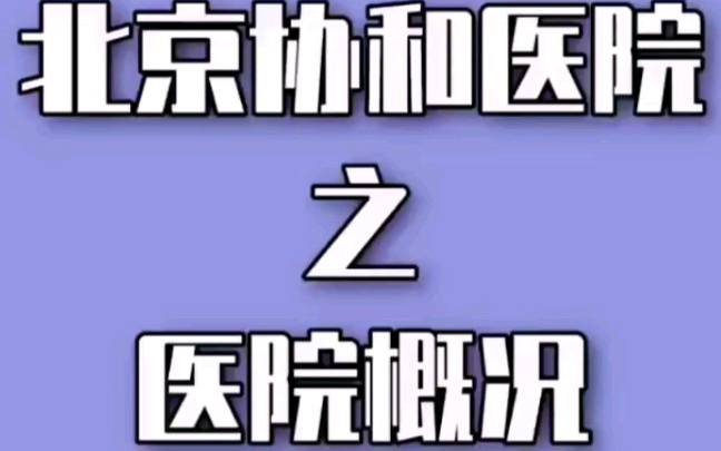 关于北京医院黄牛办理住院，跑腿挂号24小时服务的信息