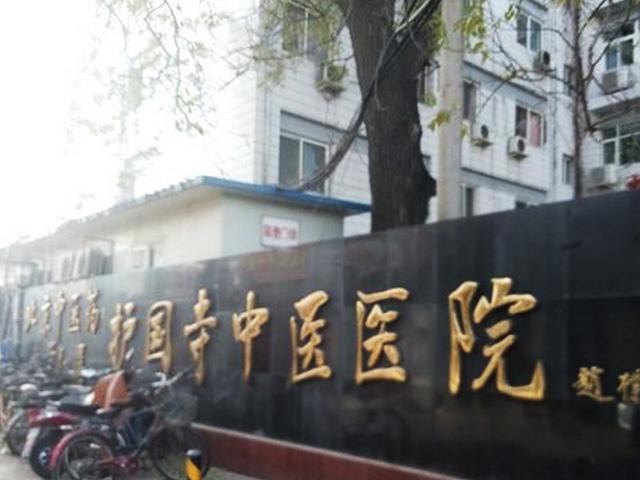 包含北京中医医院挂号号贩子联系方式各大科室全天方式行业领先的词条