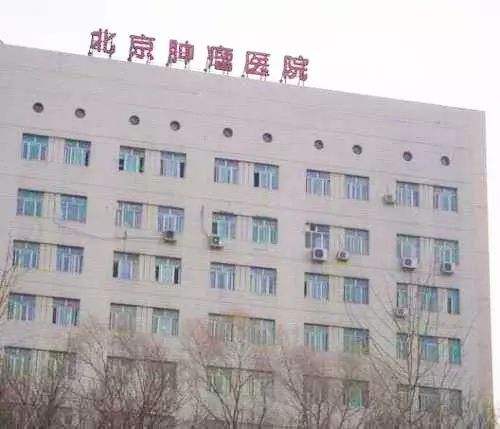 关于北京中医药大学第三附属医院名医挂号找黄牛，你挂不到的号我都可以的信息