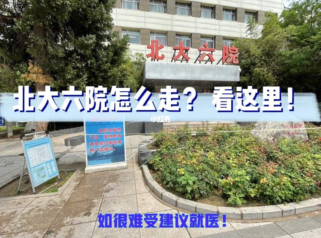包含北京大学第六医院挂号无需排队，直接找我们的词条