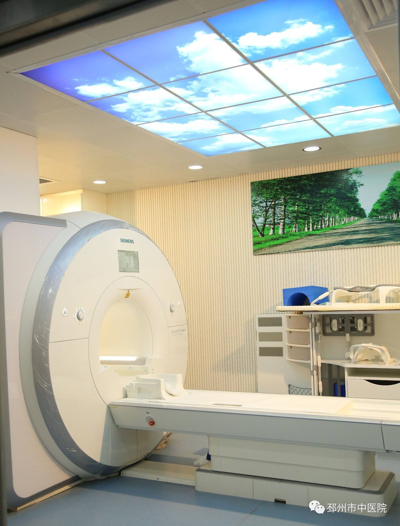 包含朝阳医院呼吸科专家找黄牛代挂每天都有号；肿瘤诊断之磁共振成像(MRI)检查的词条