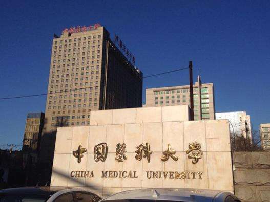 中国医学科学院肿瘤医院黄牛票贩子，号贩子一个电话-的简单介绍