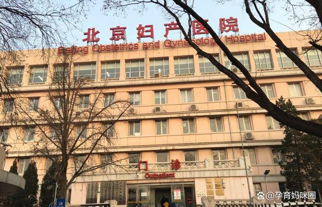 北京妇产医院多年黄牛票贩子实力办事的简单介绍