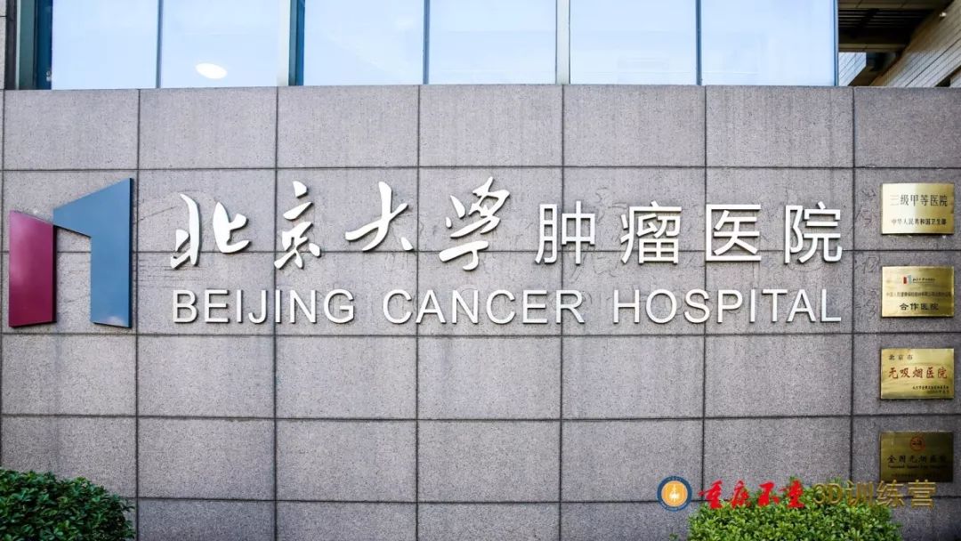 包含北京大学肿瘤医院网上预约挂号，预约成功再收费的词条