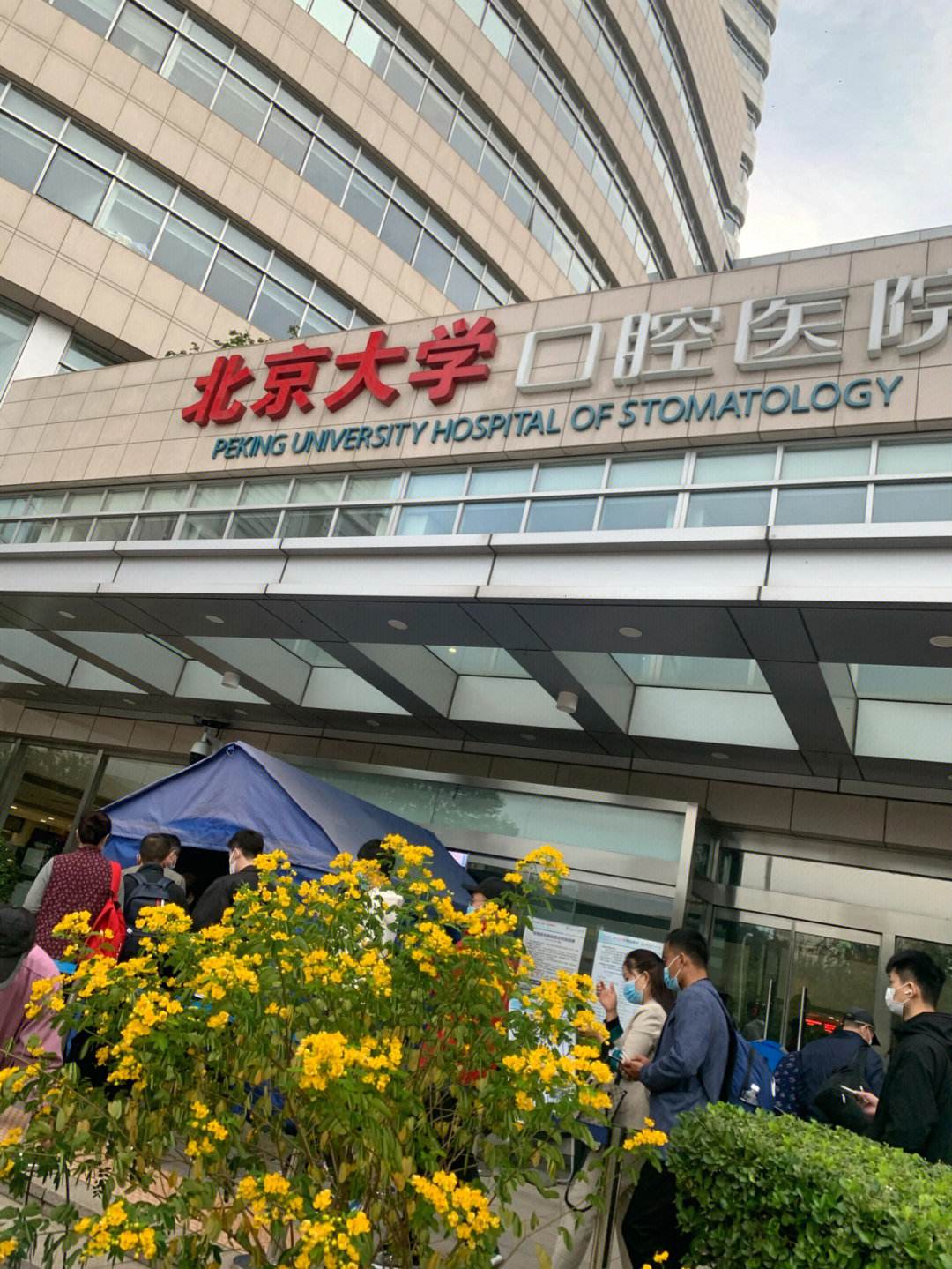 包含北京大学口腔医院挂号号贩子联系方式专业代运作住院的词条
