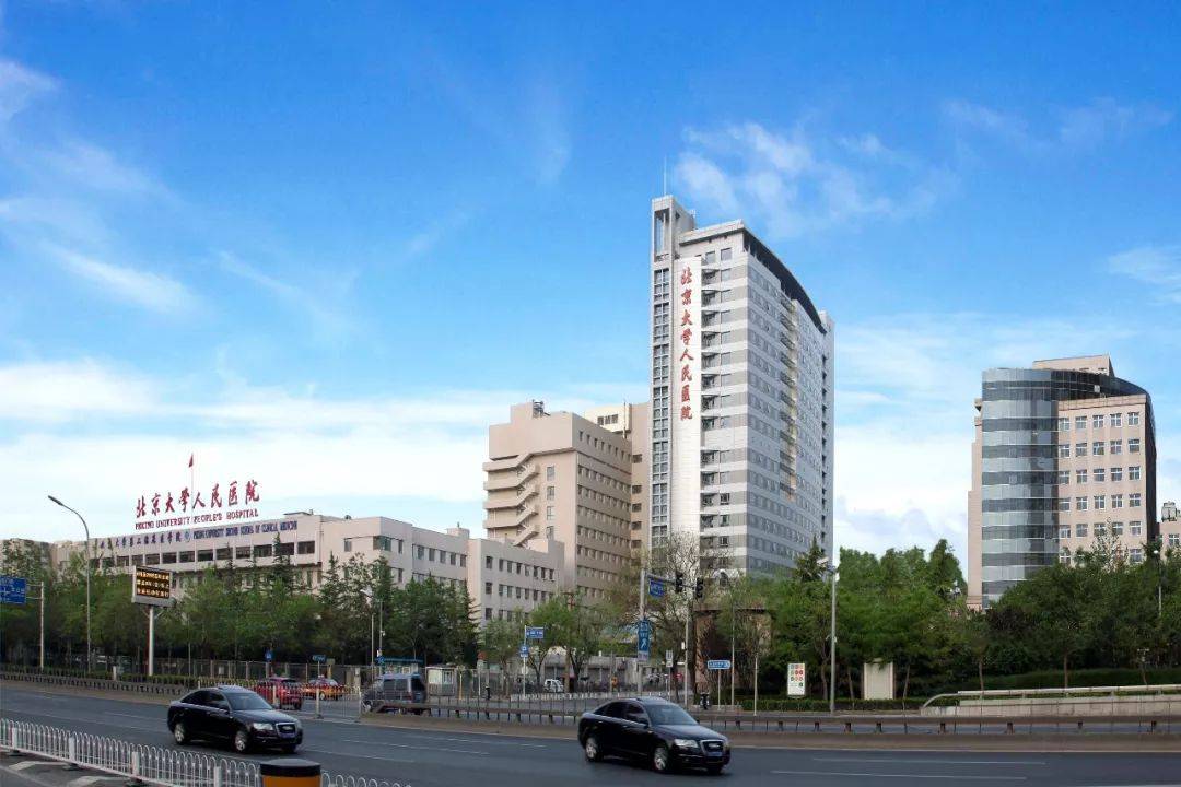 包含北京中医药大学第三附属医院黄牛挂号，检查住院办理一条龙服务的词条