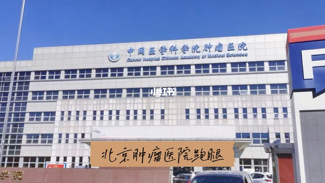 关于北京肿瘤医院挂号号贩子联系方式各大科室全天的信息
