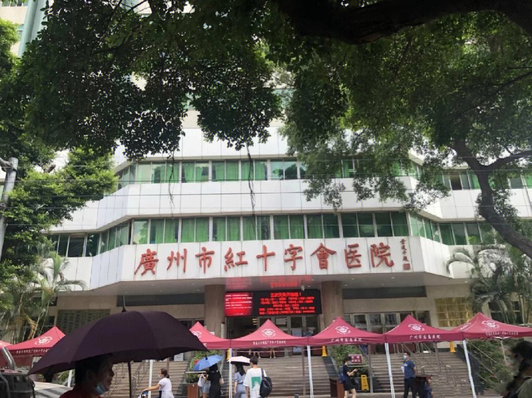 包含广州市红十字会医院医院陪诊代挂，服务周到包你满意的词条