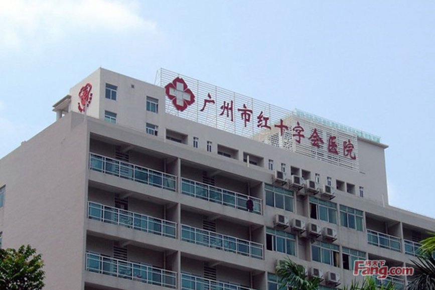 广州市红十字会医院医院陪诊代挂，随诊顾问帮您解忧的简单介绍
