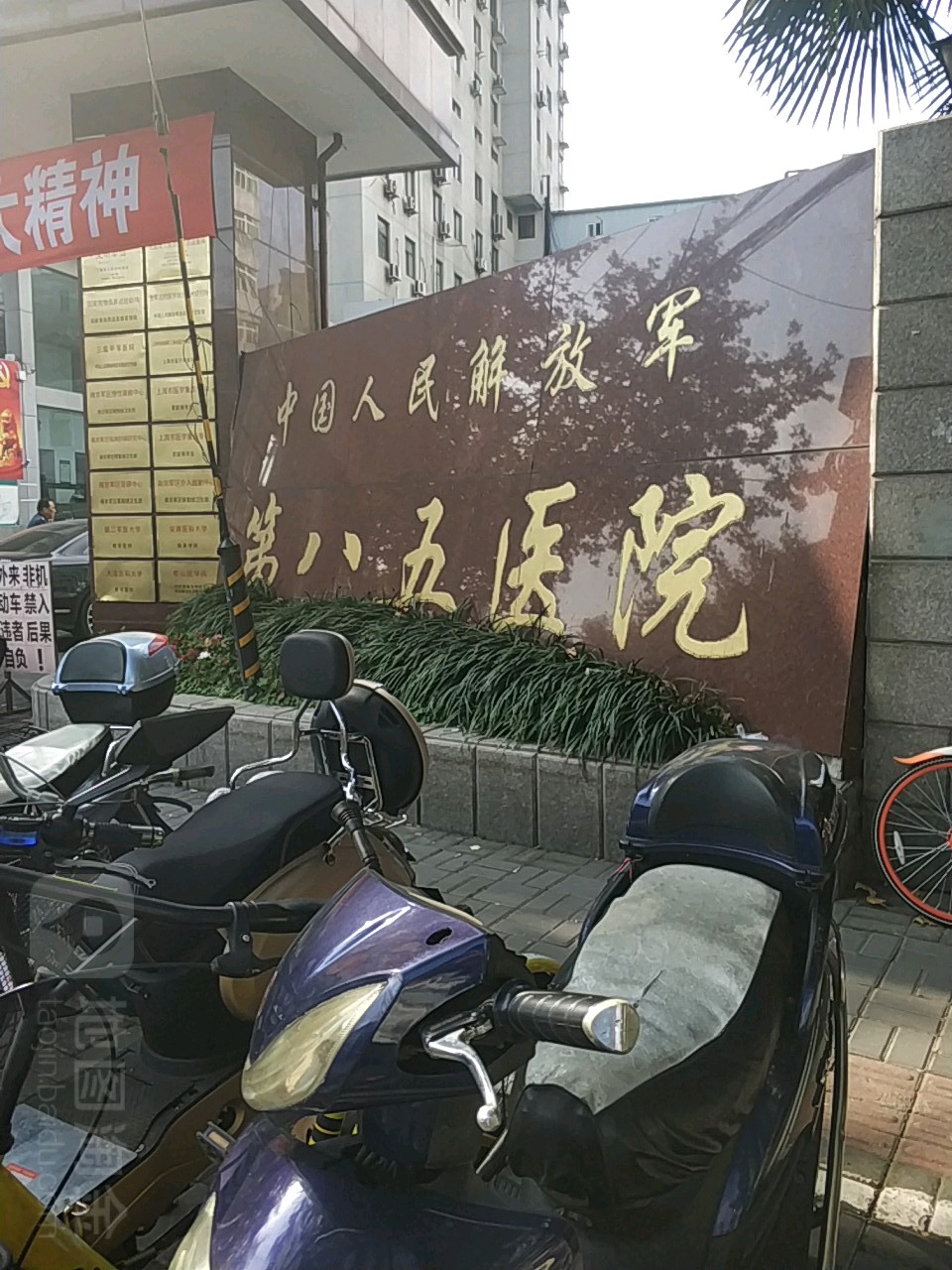 关于上海市第一人民医院医院黄牛挂号，就诊助手医疗顾问的信息