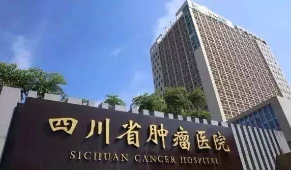 包含四川省第四人民医院医院代诊预约挂号，专家会诊住院协调的词条