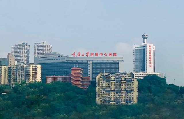 关于重庆市第八人民医院医院代诊票贩子挂号，就诊助手医疗顾问的信息
