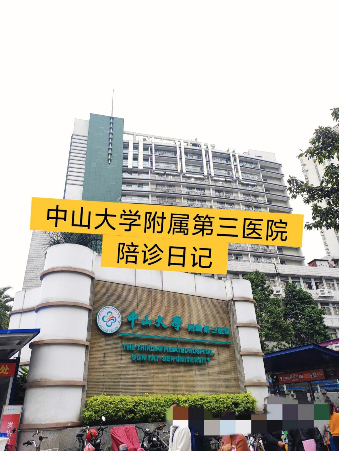 深圳市第三人民医院医院陪诊代挂，助您医路轻松的简单介绍