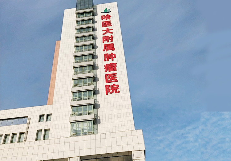 包含哈尔滨医科大学附属第二医院医院代诊预约挂号，一条龙快速就医的词条