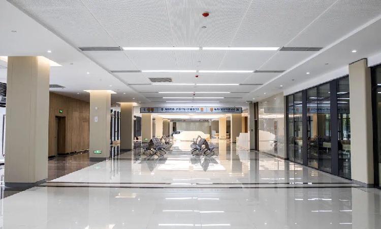 重庆市第八人民医院医院黄牛挂号，助您医路轻松的简单介绍