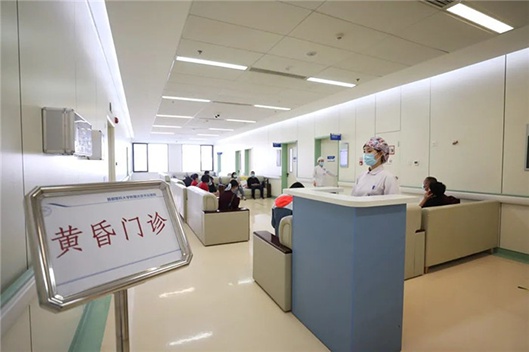 关于琼海市人民医院海南省东部区域医疗中心医院代诊预约挂号，就诊助手医疗顾问的信息