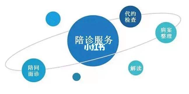 关于上海市第一人民医院分院（第四人民医院）医院跑腿陪诊挂号，互利共赢合作愉快的信息