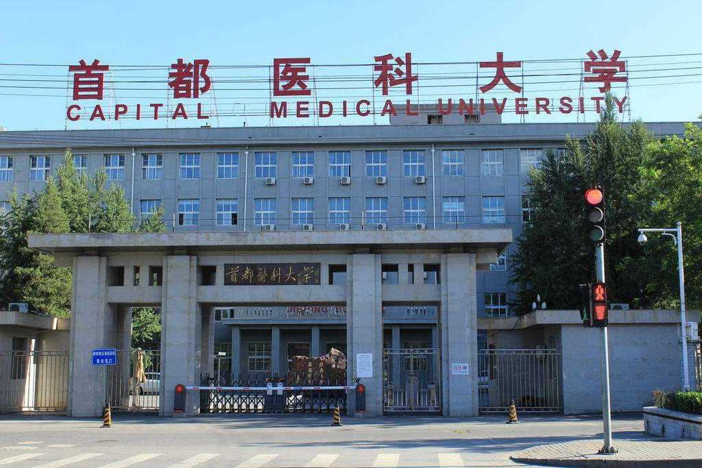 包含首都医科大学附属北京胸科医院医院代诊预约挂号，伴您医路畅通的词条
