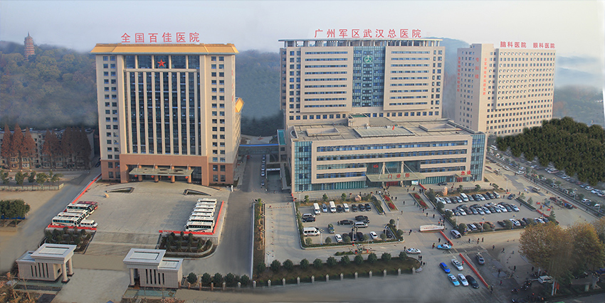 中国人民解放军总医院第五医学中心医院黄牛挂号，您满意我安心的简单介绍