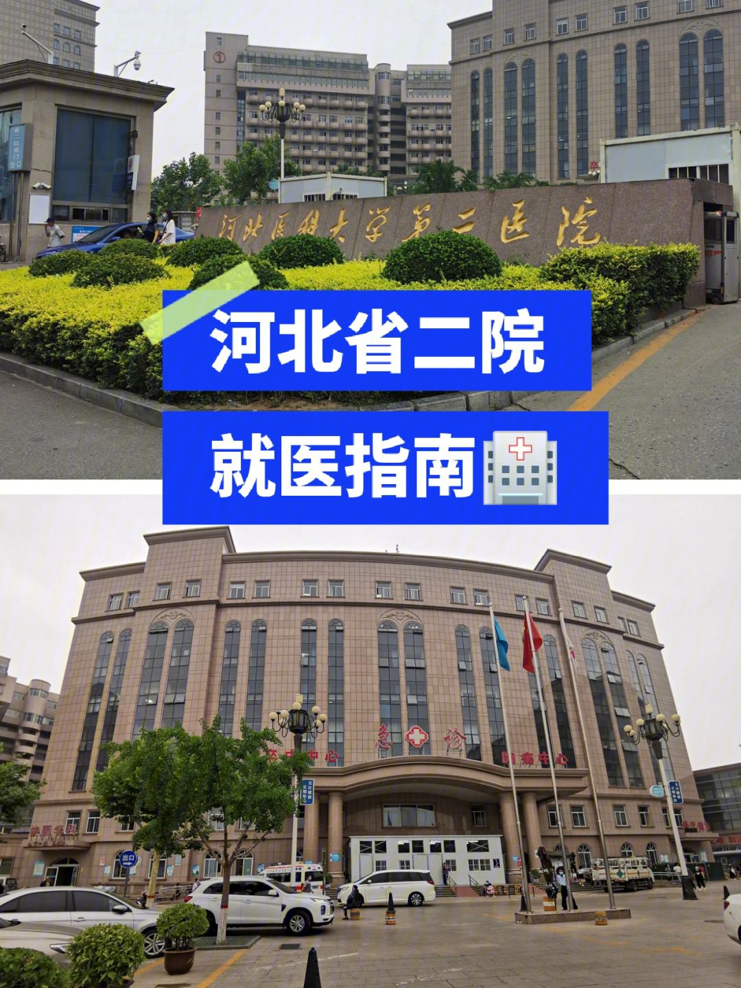关于广州军区广州总医院附属一五七医院医院代诊预约挂号，一条龙快速就医的信息