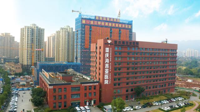 重庆市第一人民医院医院黄牛挂号，互利共赢合作愉快的简单介绍