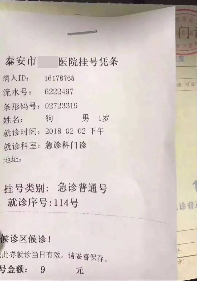 关于天津环湖医院医院代诊票贩子挂号，服务周到包你满意的信息