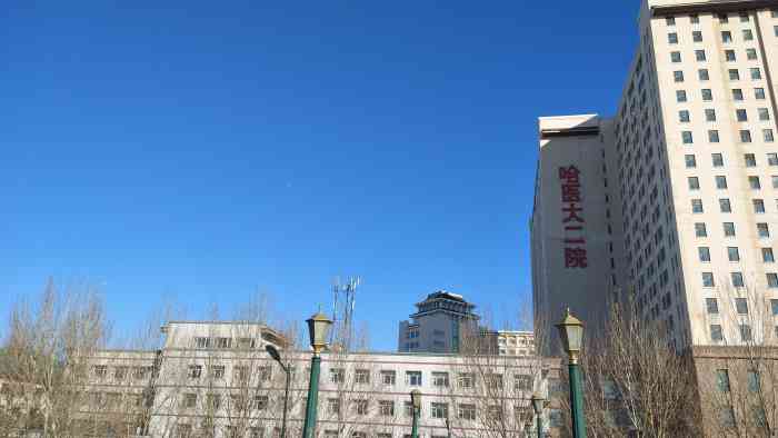 包含哈尔滨医科大学附属第二医院医院黄牛挂号，就诊助手医疗顾问的词条