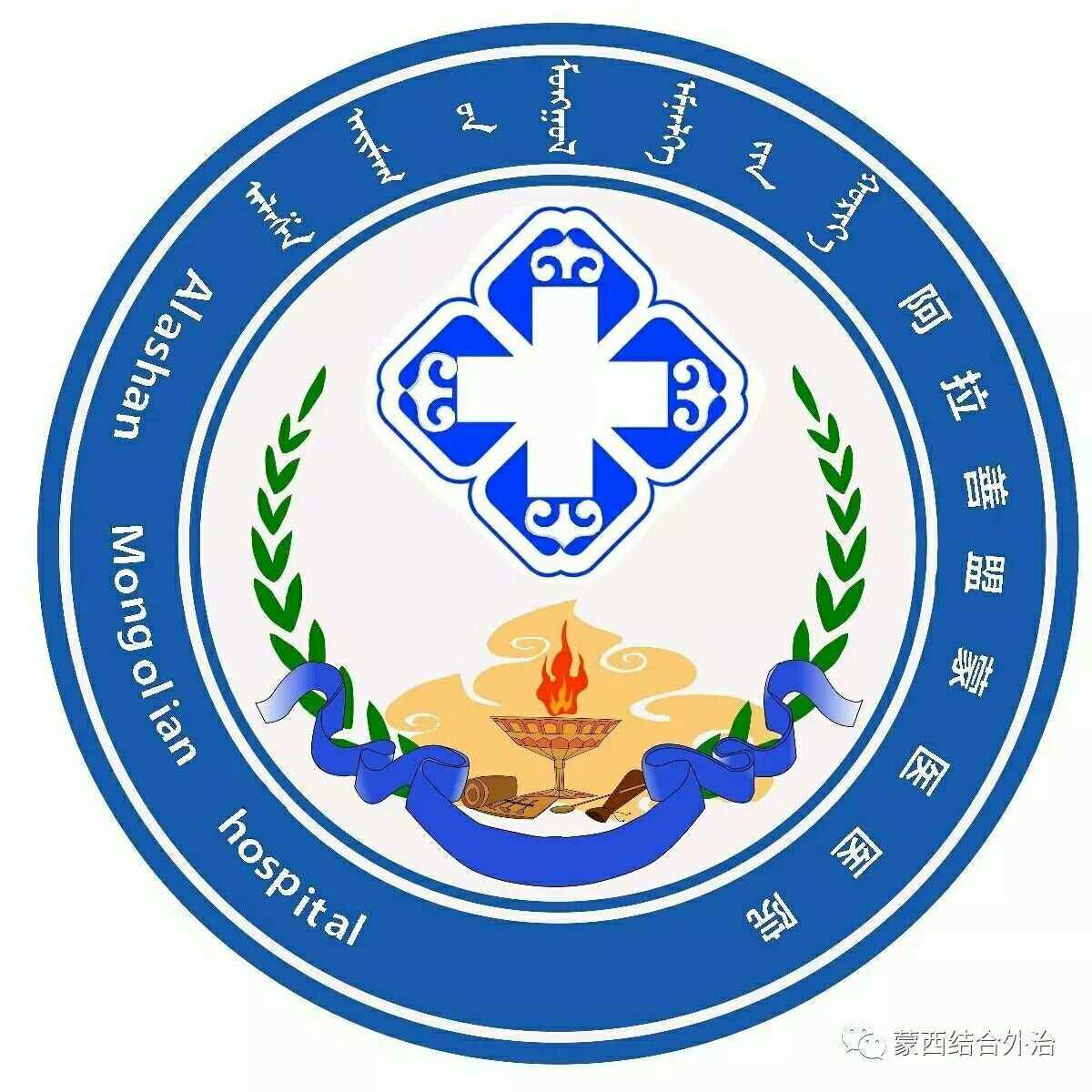关于内蒙古医科大学第二附属医院医院代诊预约挂号，就诊助手医疗顾问的信息