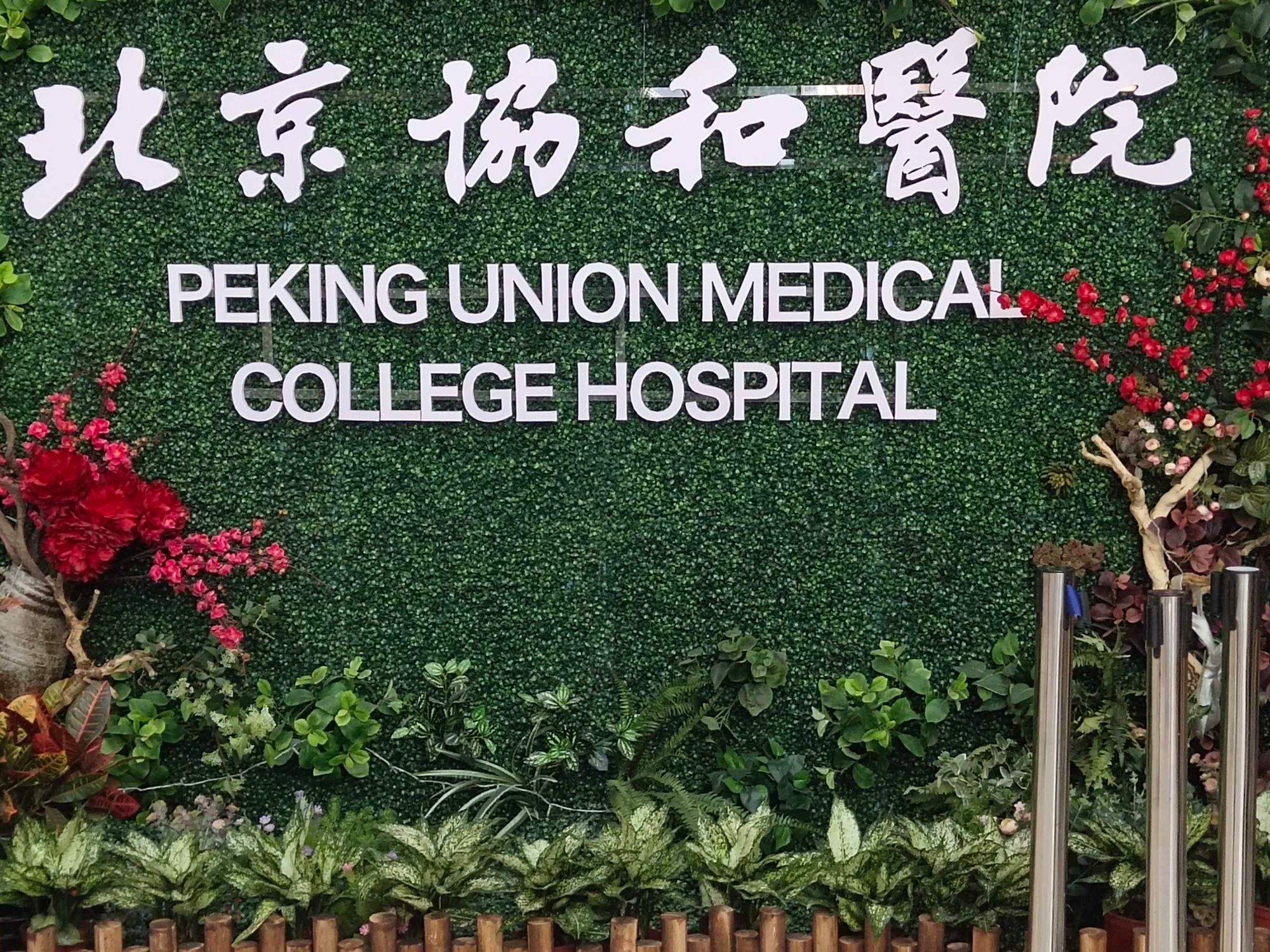 北京协和医院医院代诊预约挂号，一条龙快速就医的简单介绍
