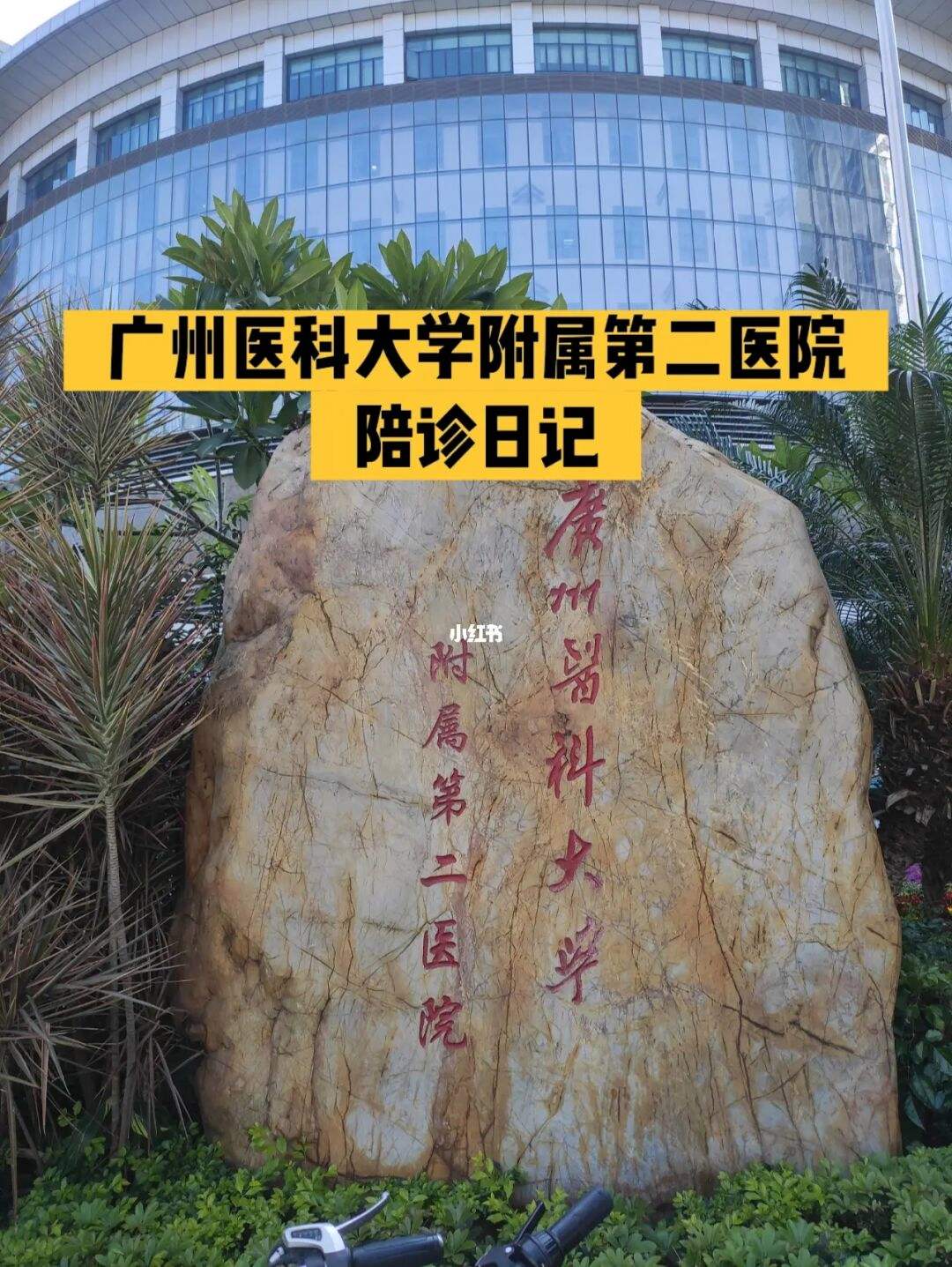 包含广东省第二人民医院医院代诊票贩子挂号，京医指导就医分享的词条