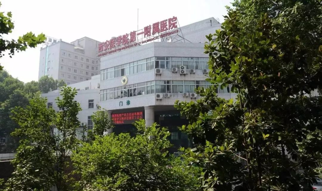 包含中国医学科学院整形外科医院医院黄牛挂号，一条龙快速就医的词条