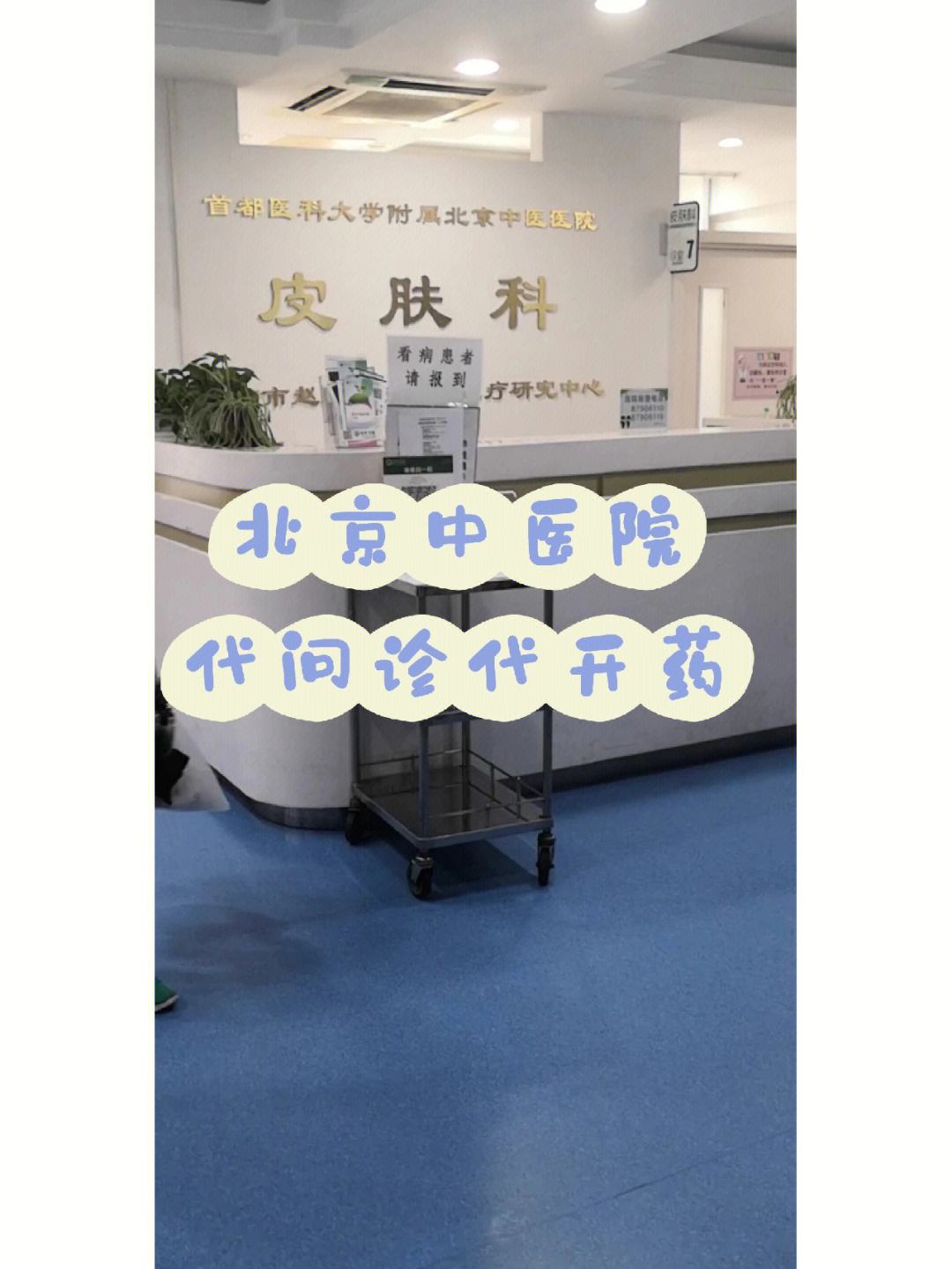 包含上海市中医医院医院跑腿陪诊挂号，助您医路轻松的词条