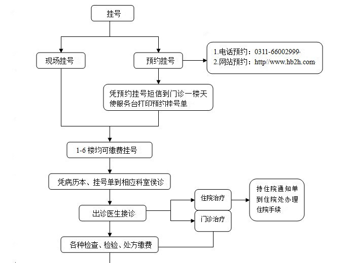 关于广东省中医院医院号贩子挂号，京医指导就医分享的信息