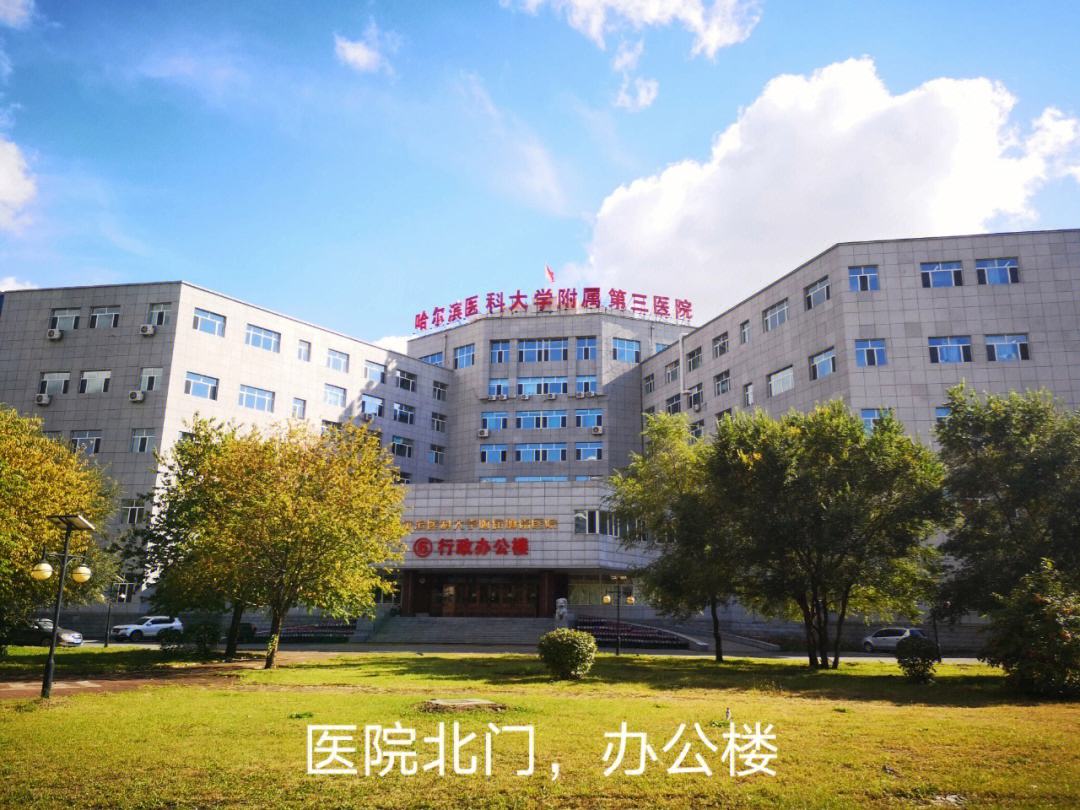 关于哈尔滨医科大学附属肿瘤医院医院黄牛挂号，助您医路轻松的信息