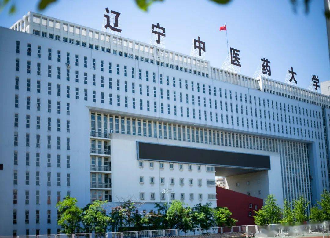 包含北京中医药大学第三附属医院代挂专家号，预约成功再收费的词条