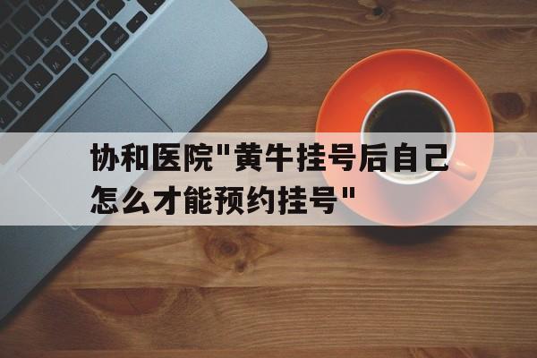 包含协和医院"黄牛挂号后自己怎么才能预约挂号"的词条