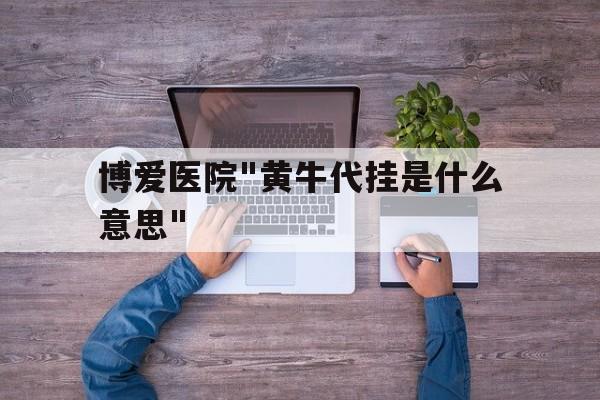 博爱医院"黄牛代挂是什么意思"的简单介绍