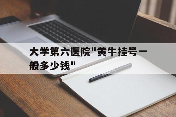 包含大学第六医院"黄牛挂号一般多少钱"的词条