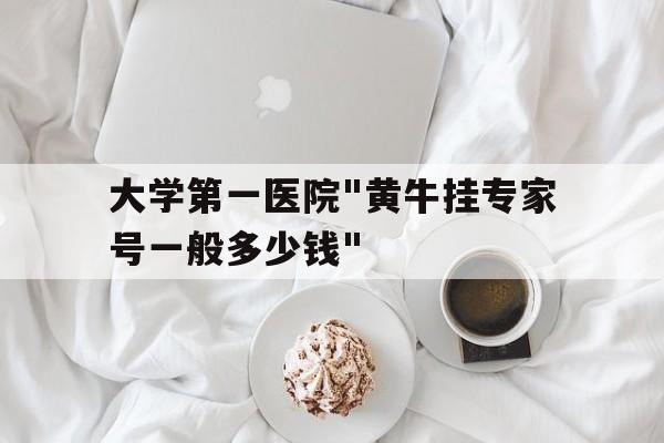 包含大学第一医院"黄牛挂专家号一般多少钱"的词条