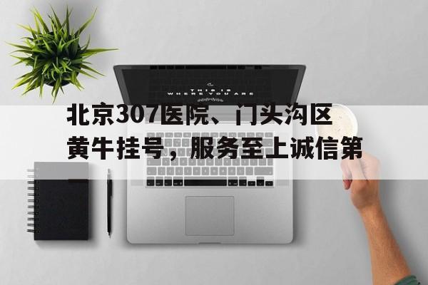 北京307医院、门头沟区黄牛挂号，服务至上诚信第一的简单介绍
